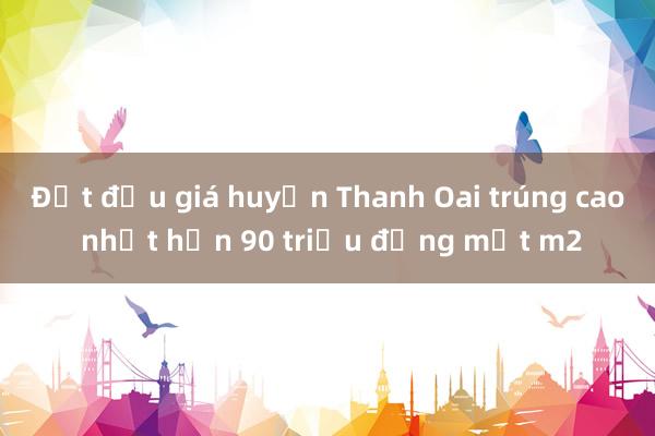 Đất đấu giá huyện Thanh Oai trúng cao nhất hơn 90 triệu đồng một m2