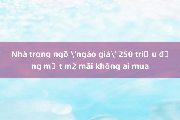 Nhà trong ngõ 'ngáo giá' 250 triệu đồng một m2 mãi không ai mua