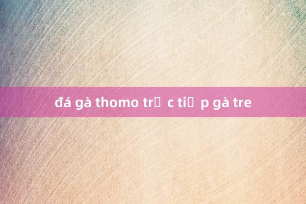 đá gà thomo trực tiếp gà tre