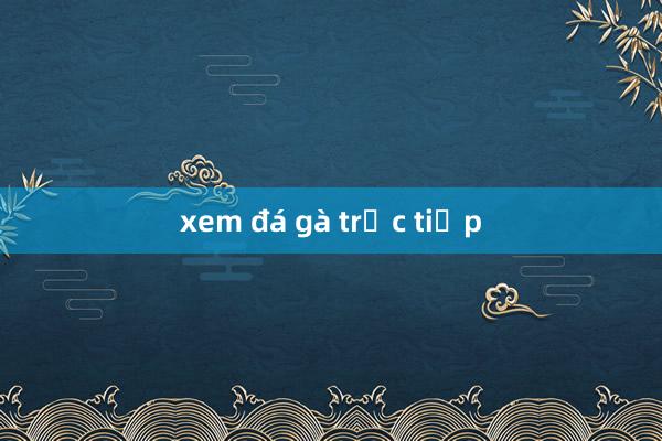 xem đá gà trực tiếp