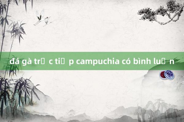 đá gà trực tiếp campuchia có bình luận