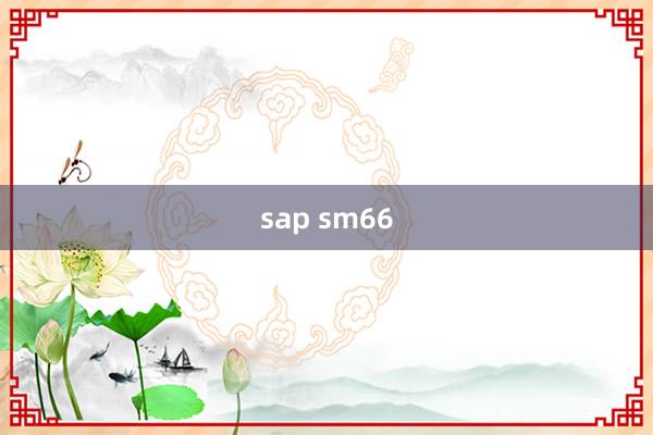 sap sm66